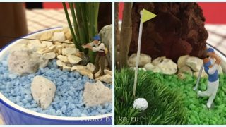 ゴルフ・釣りが好きなお父さんにオススメな観葉植物 日比谷花壇