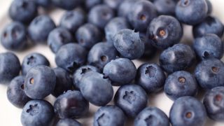 2017年の父の日は収穫できるブルーベリーの鉢植えをプレゼント