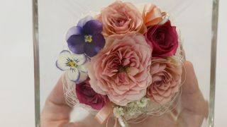 美しいドライフラワーがガラスコレクションで楽しめる!