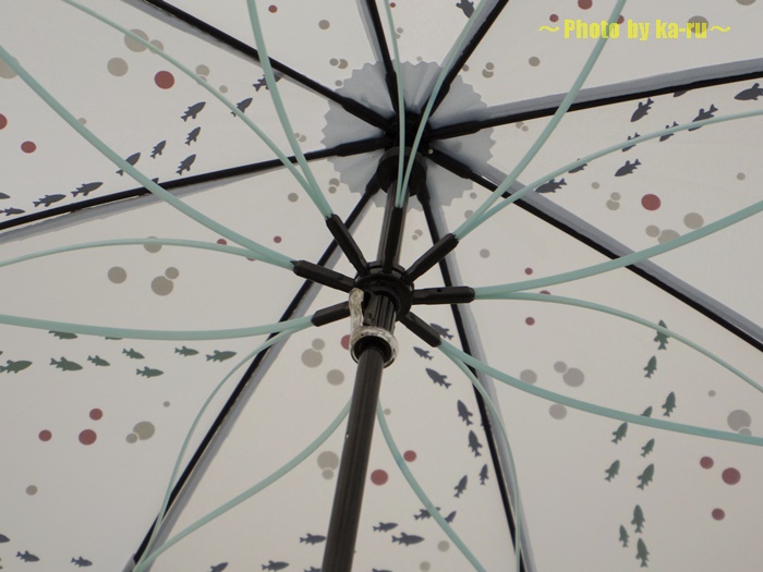 深海イメージの雨傘(ディズニー)8